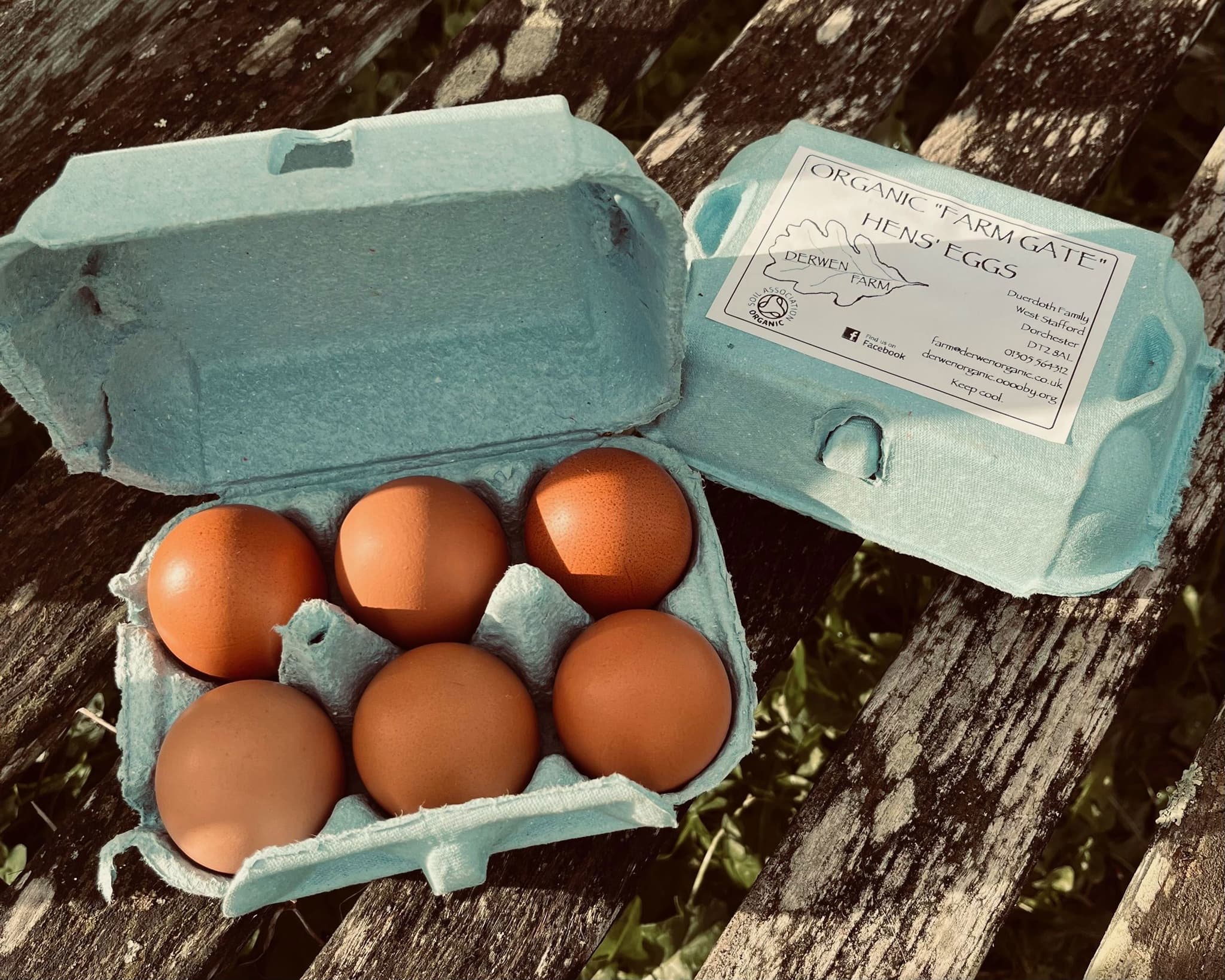 Eggs 12