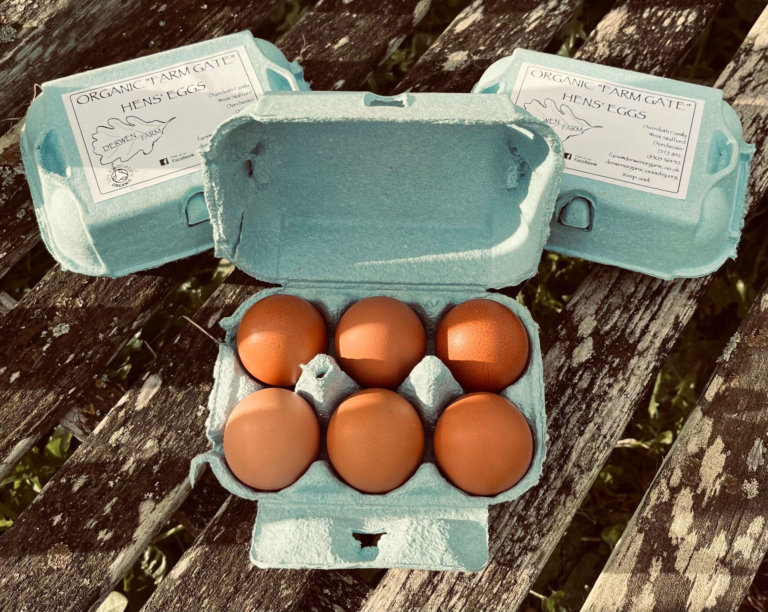 Eggs 18
